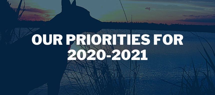 Our priorities for 2020-2021