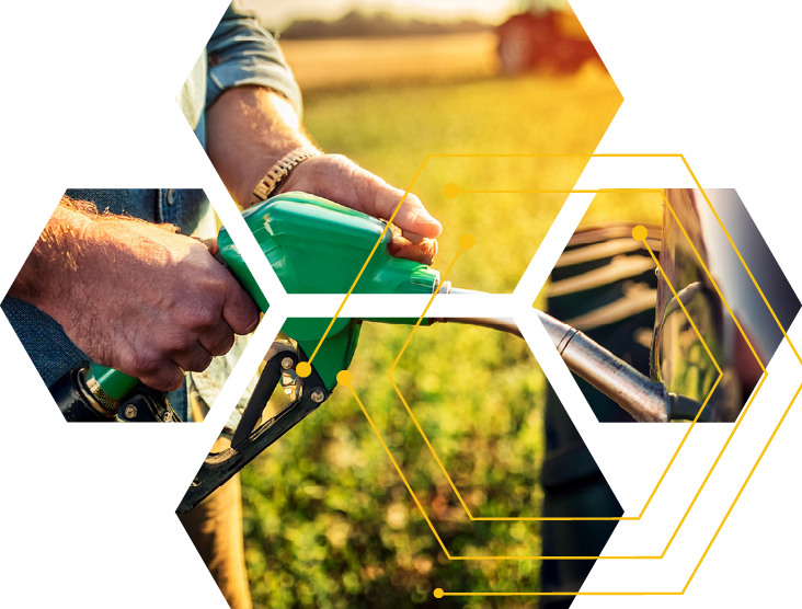 Click to find out more.