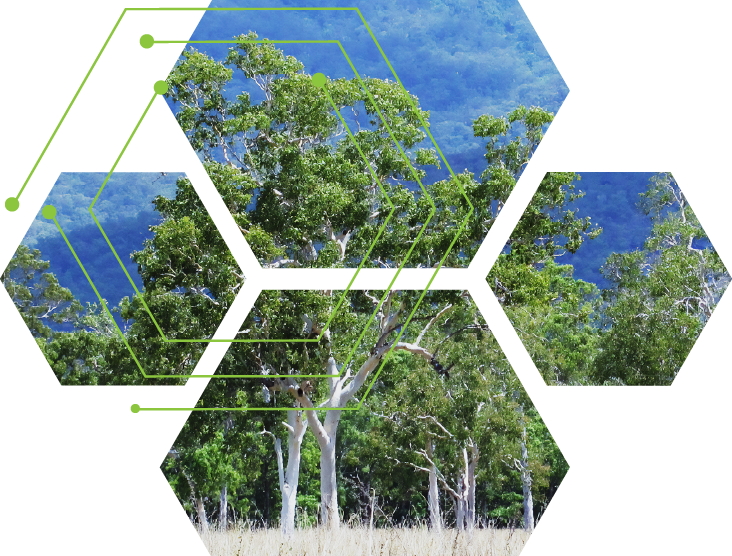 Click here for more details