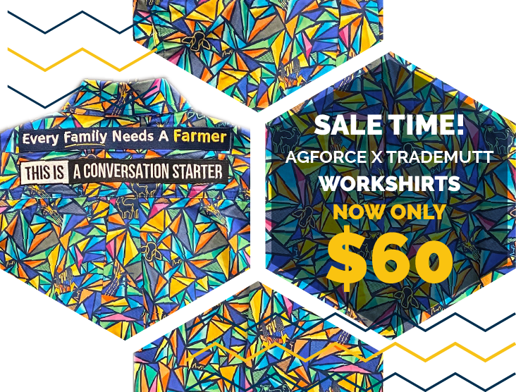 Sale now on!