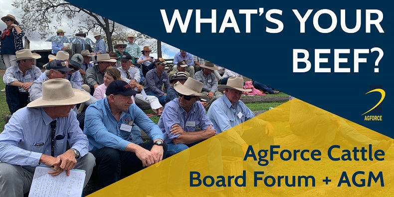 What's Your Beef? AgForce Cattle AGM 5 November