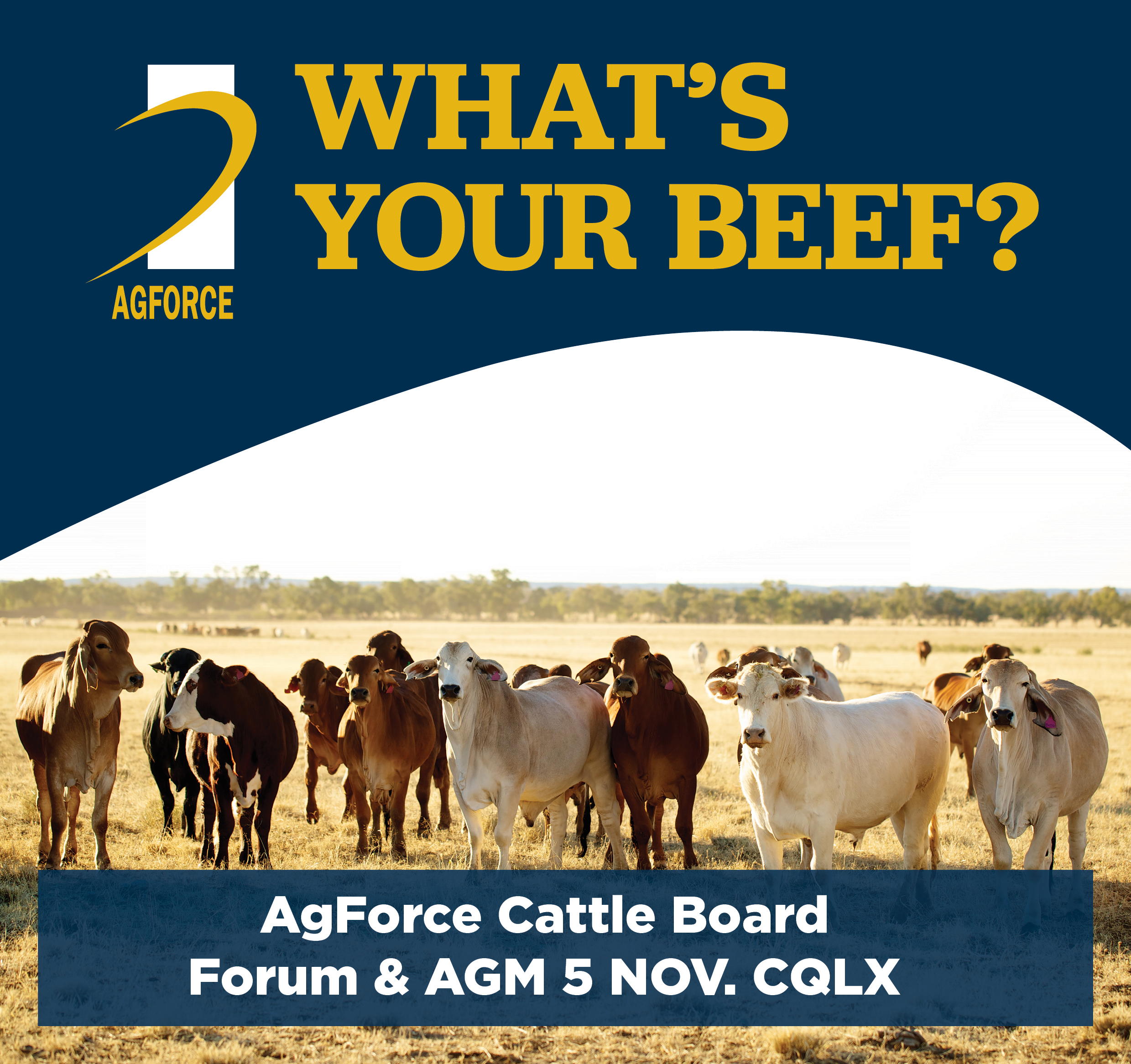 What's Your Beef? AgForce Cattle AGM 5 November