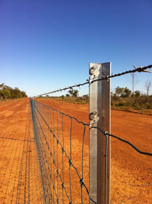 fence