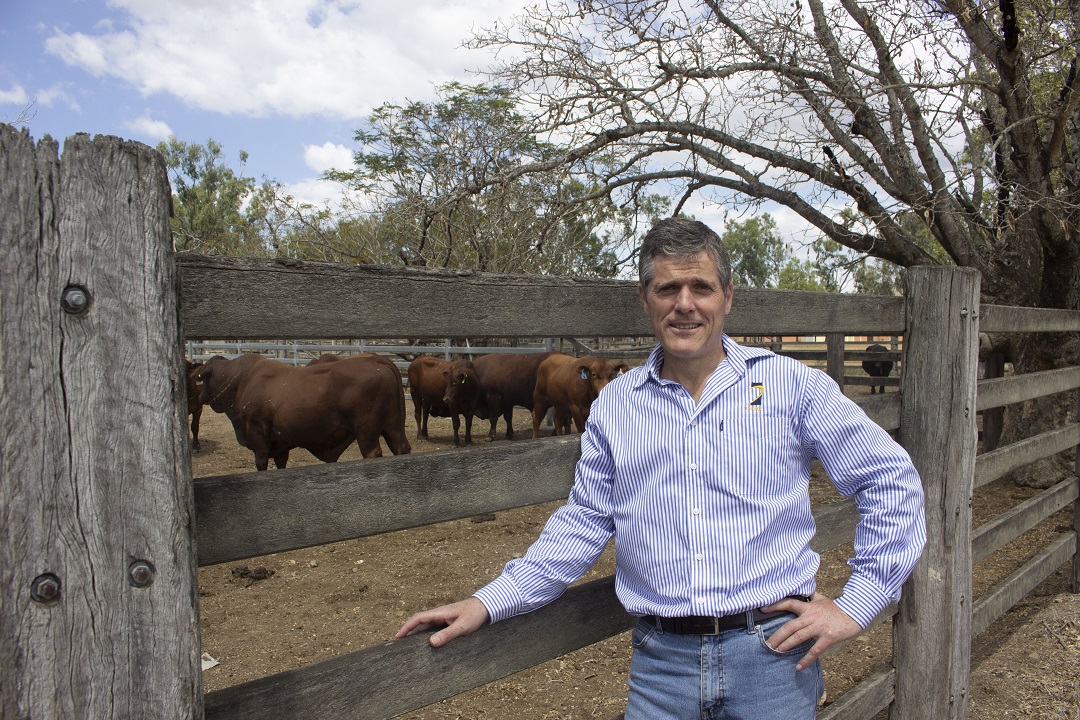 AgForce CEO Michael Guerin