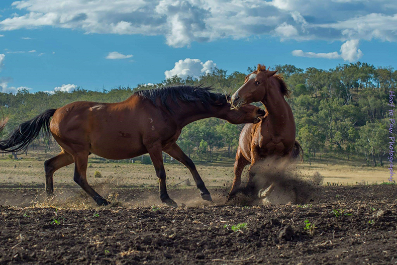 Take Off, Bell QLD by Stacey Thompson